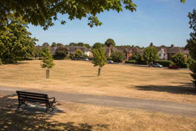 Brown summer grass in a residential park surrounded by Irish homes during the July heatwave, illustrating the importance of seasonal property maintenance.