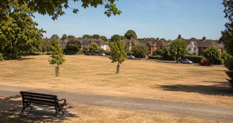 How Landlords and Homeowners Can Protect Property During a Summer Heatwave
